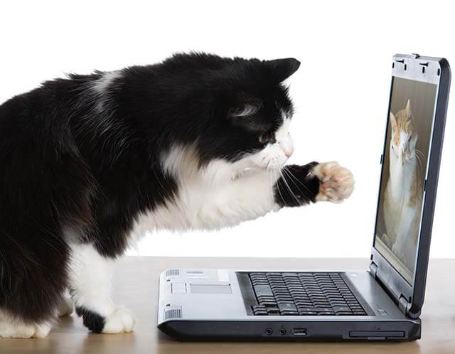 Use the internet how you want with a VPN