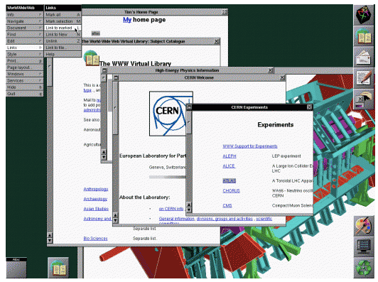 the first web browser